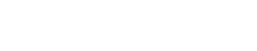 VORDERRAD MIT 19 ZOLL Das neue leichte 19-Zoll-Rad unterstreicht das aggressive Naturell der Scout  Rogue   sowohl im   